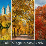 New York City in October: A Travel Advisor’s Guide to the Perfect Fall Visit NYC in October
