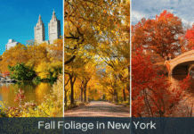 New York City in October: A Travel Advisor’s Guide to the Perfect Fall Visit NYC in October