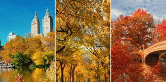New York City in October: A Travel Advisor’s Guide to the Perfect Fall Visit NYC in October