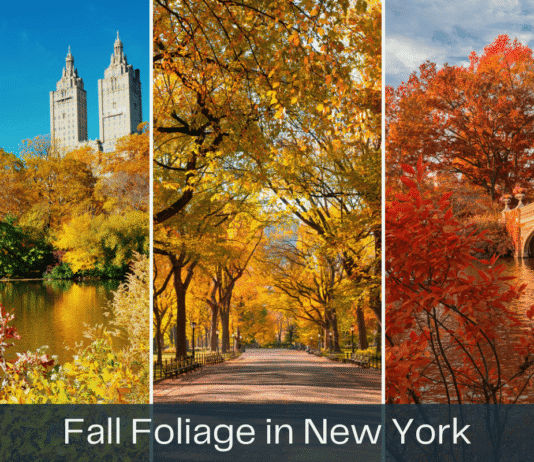 New York City in October: A Travel Advisor’s Guide to the Perfect Fall Visit NYC in October