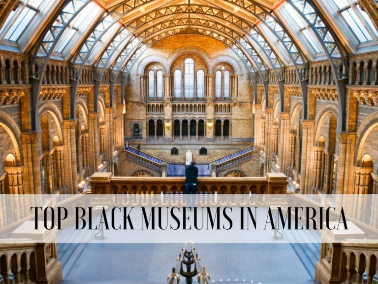 Top Black History Museums In America