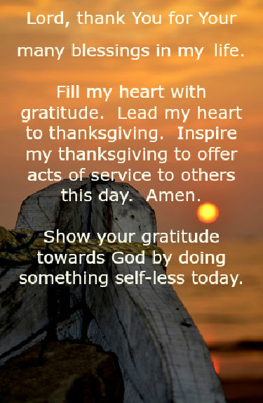feeling thankful
