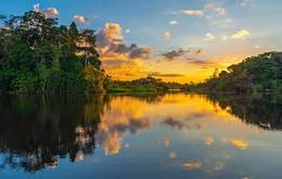 Pure Amazon River Cruise 8Night Extension 