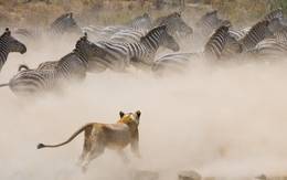 Short Escape Kenya