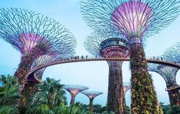 Malaysia and Singapore Tapestry of Cultures
