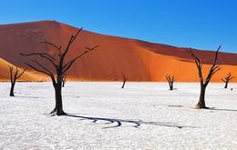 Namibia Dunes and Desert Safari