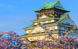 Wonders of Japan Cruise Cherry Blossom Season