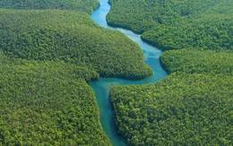 Tailor Made Peru Machu Picchu and the Amazon 