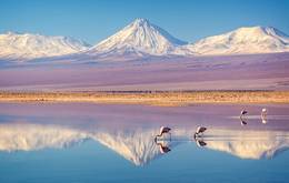 Tailor Made Chile Winelands and Scenic Marvels