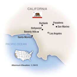 A Celebration of Roses