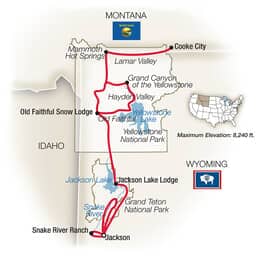 Yellowstone and the Tetons American Safari