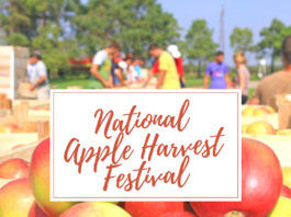 National Apple Harvest Festival