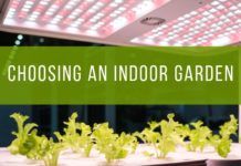 Choosing An Indoor Garden Choosing An Indoor Garden