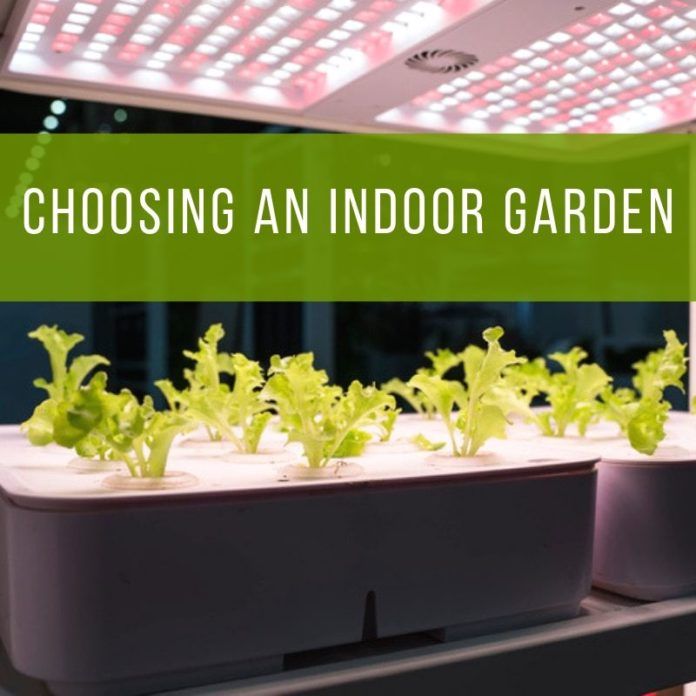 Choosing An Indoor Garden