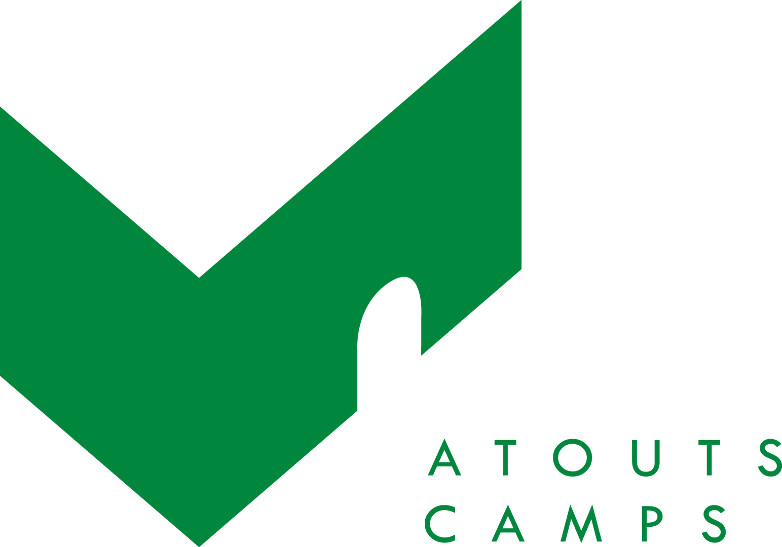 AC LOGO VERT Vectoriel