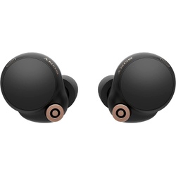 Sony WF-1000XM4 Earphones