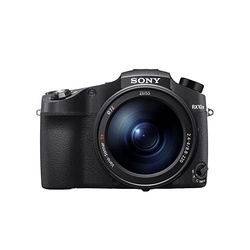 Sony RX10 IV Camera