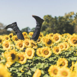 Atteline PR - Sophie Blog Man with a sunflower