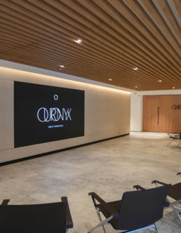 Atteline PR - Ouronyx Auditorium