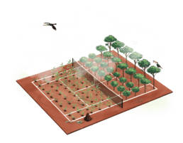 Atteline PR - Sustainability for Planting Trees