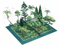 Atteline PR - Sustainability for Forest
