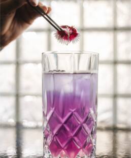 Ruder Finn Atteline - Avantcha Tea in a glass