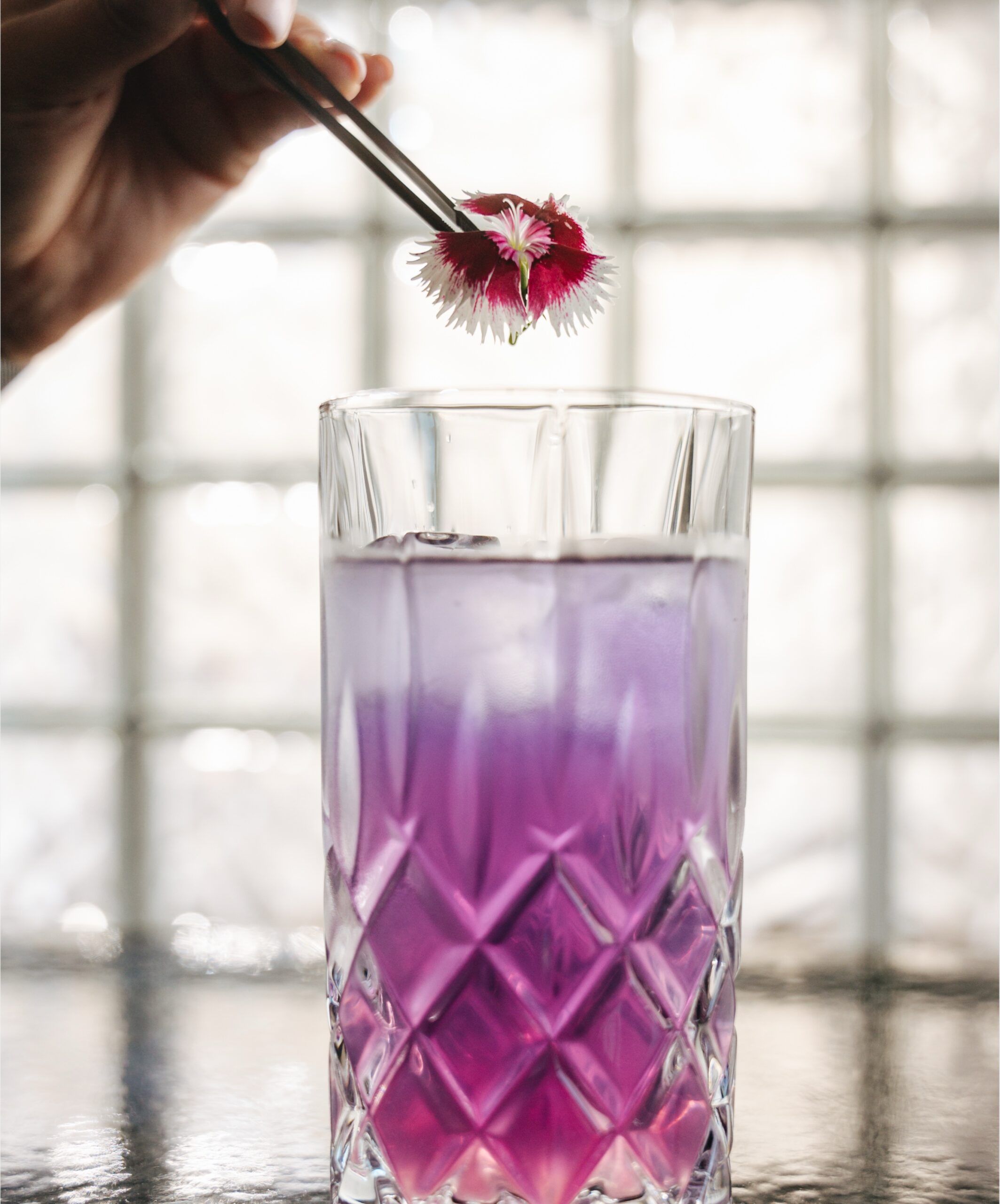 Ruder Finn Atteline - Avantcha Tea in a glass