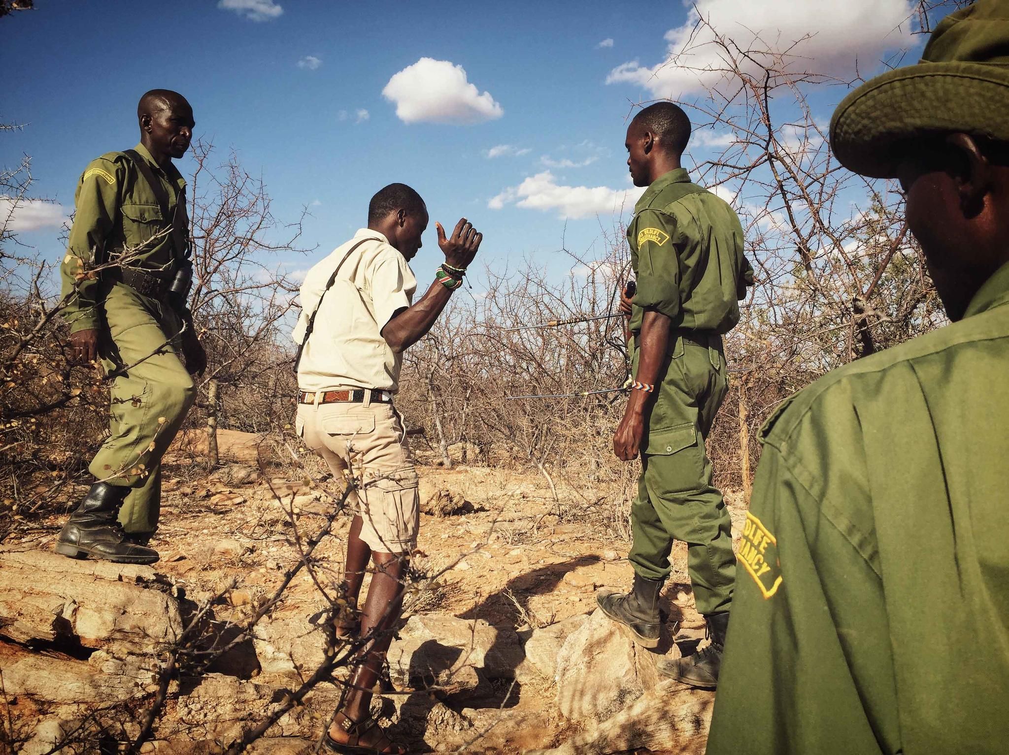 Rhino Tracking