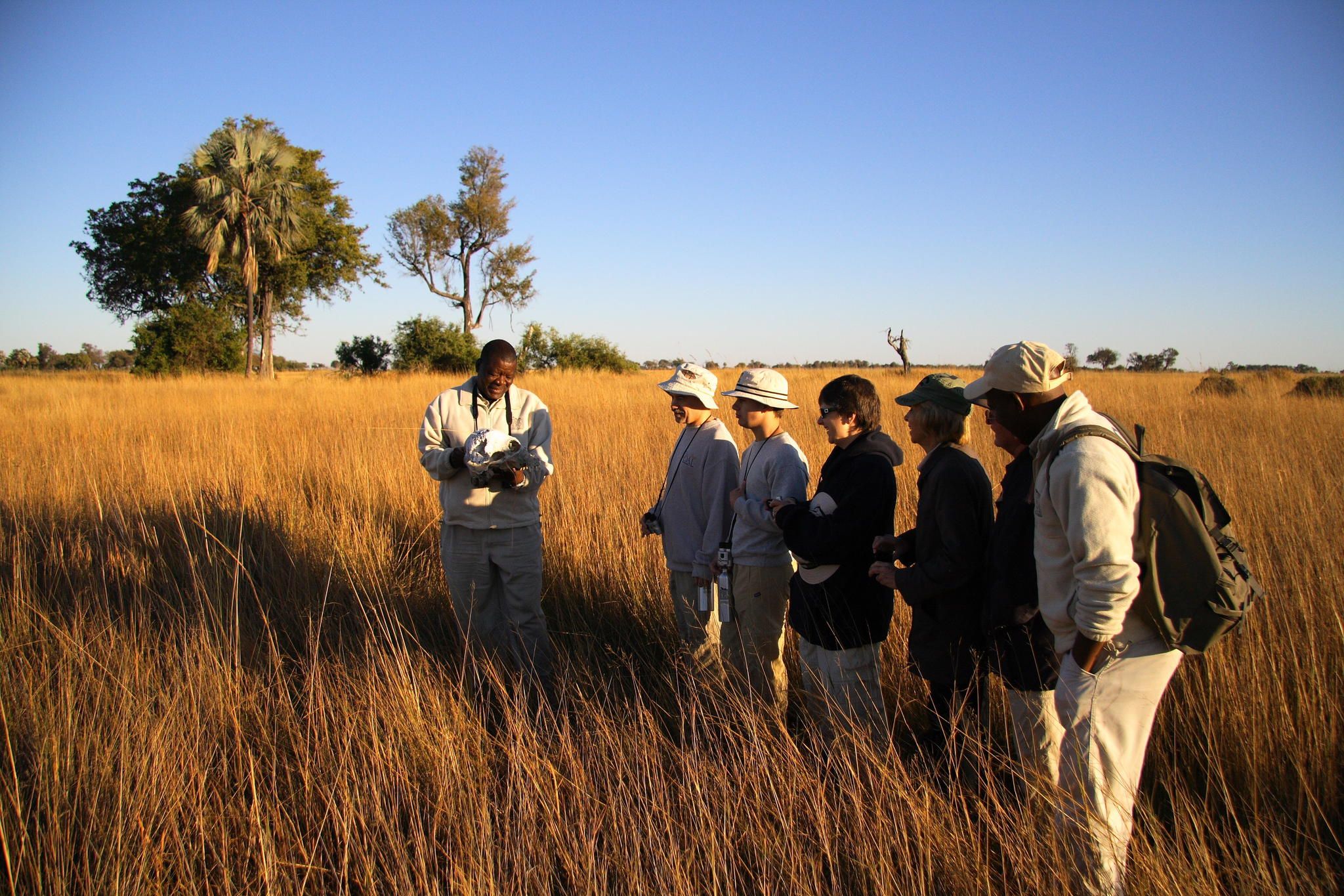 Walking Safari