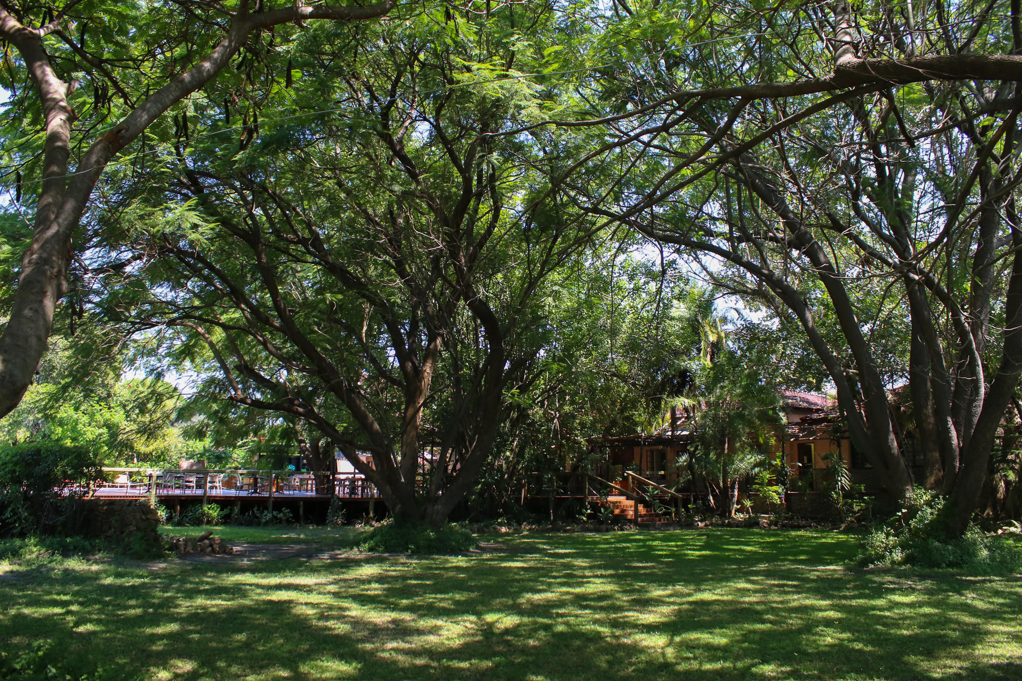 The stunning gardens and outdoor dining area