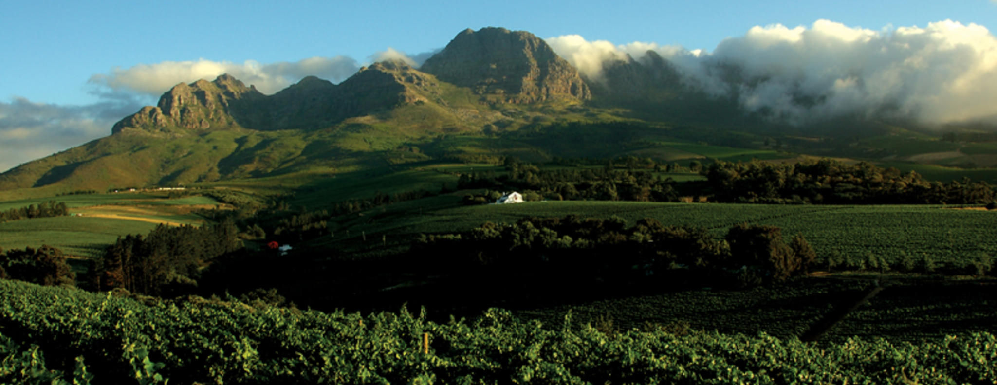 Stellenbosch