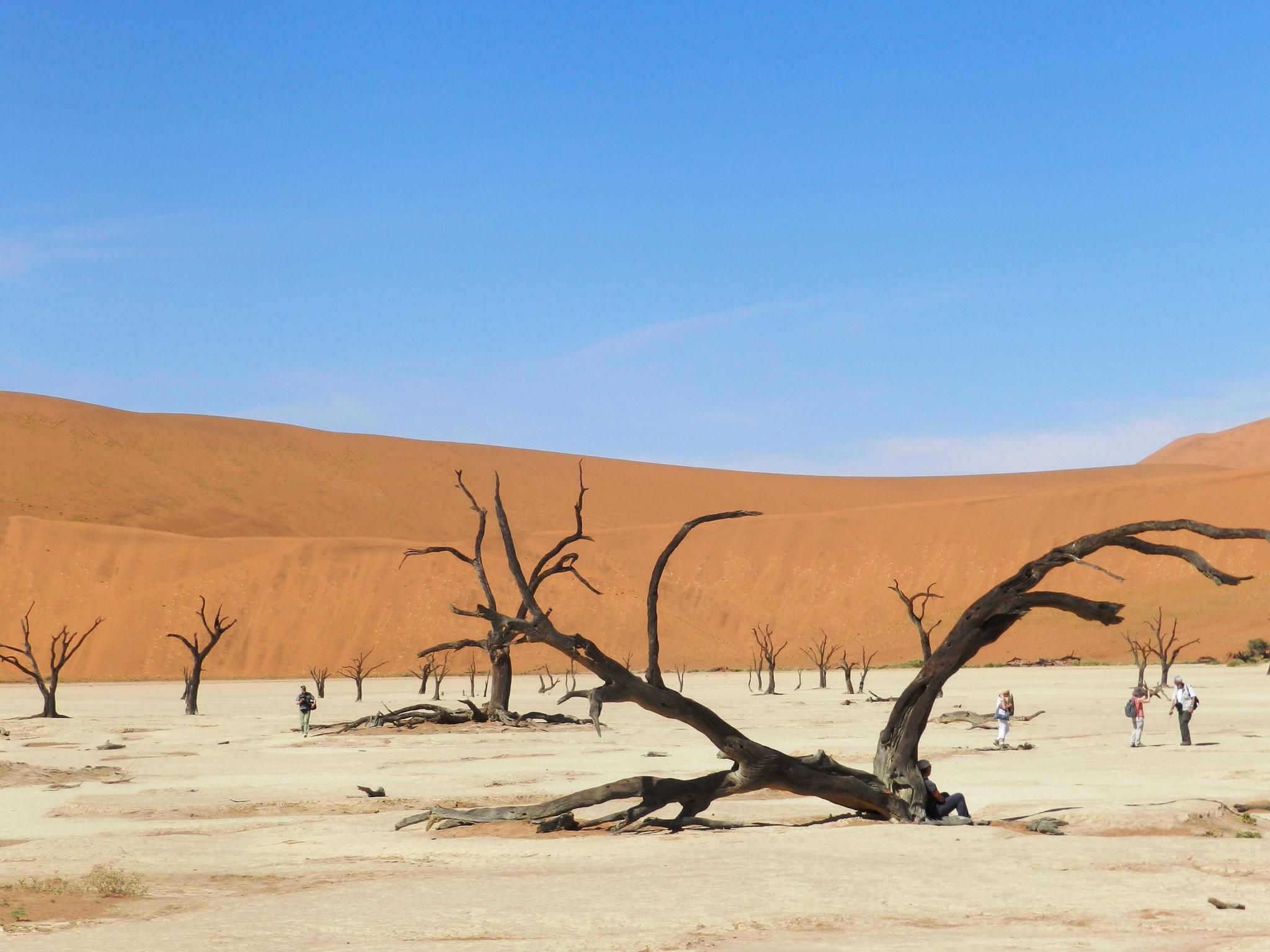 Dead vlei