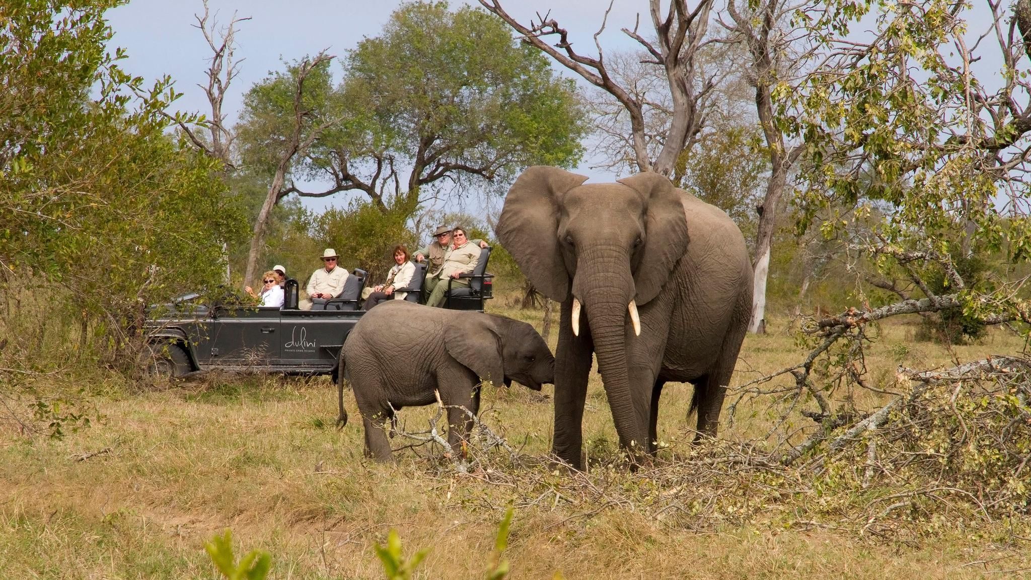 Dulini - Game Drives