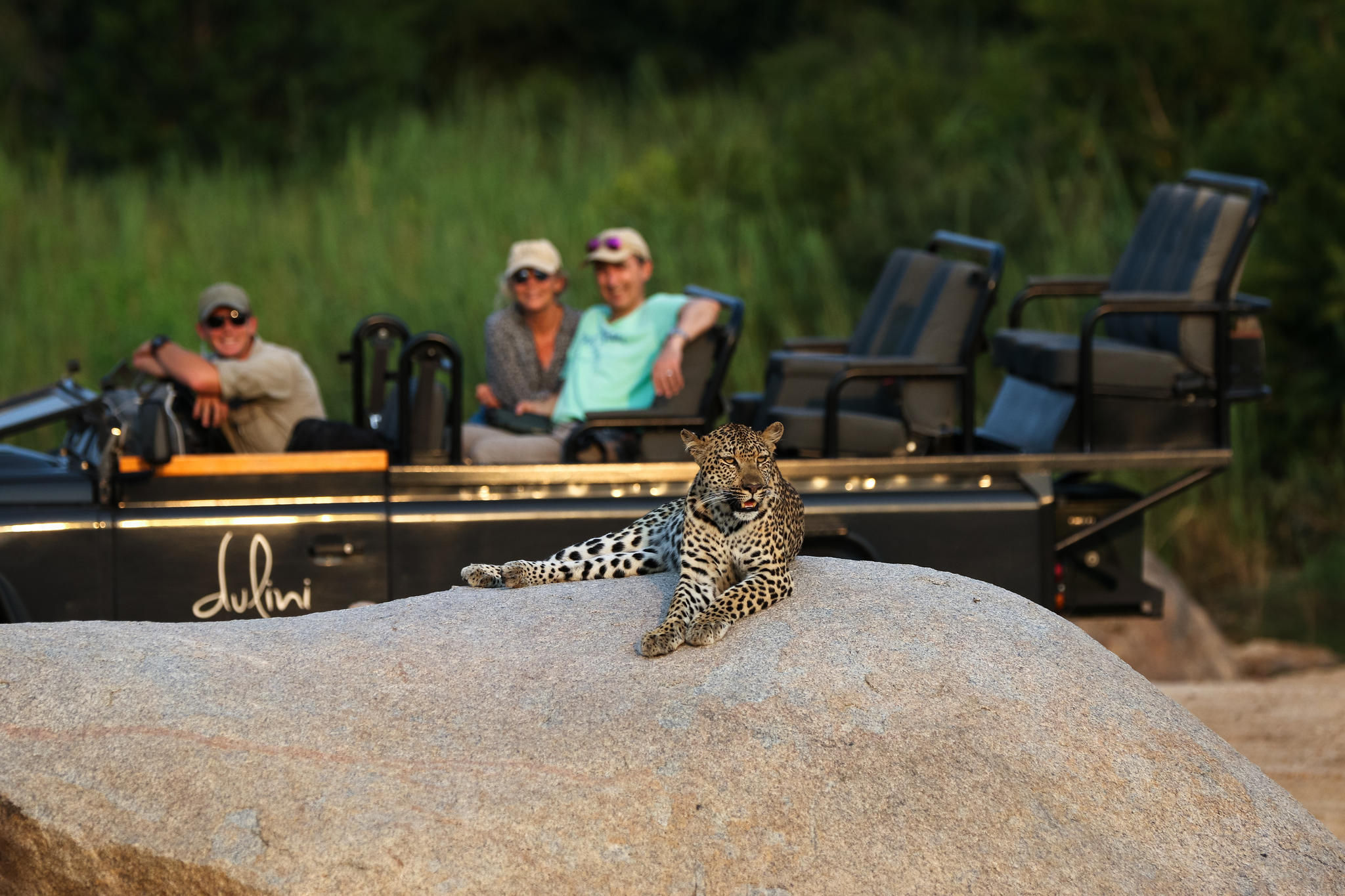 Dulini - Game Drives