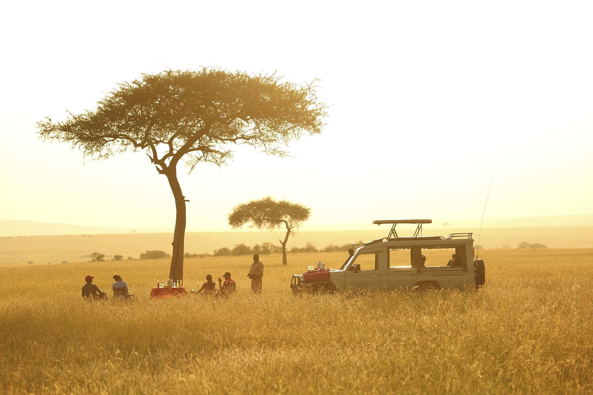 Sundowners in The Bush