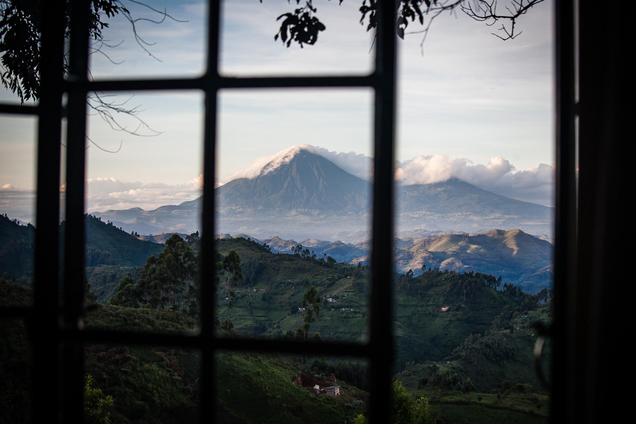 Looking out my bedroom window...