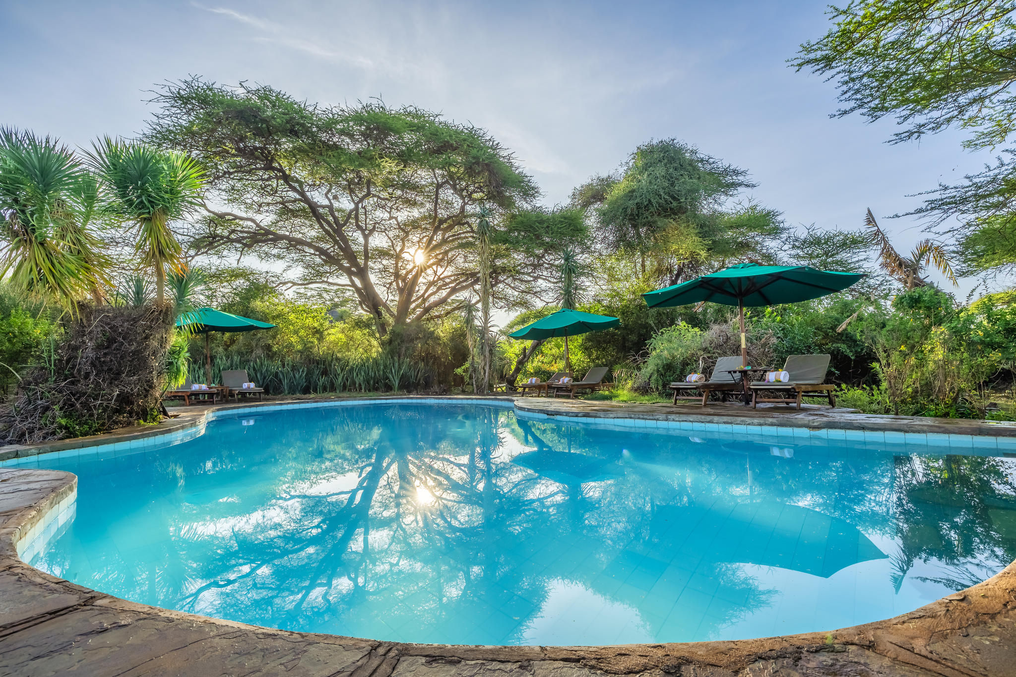 Tortilis Camp Amboseli