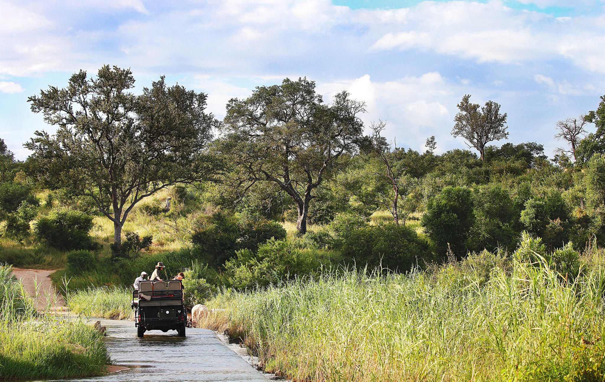 On safari at Londolozi 