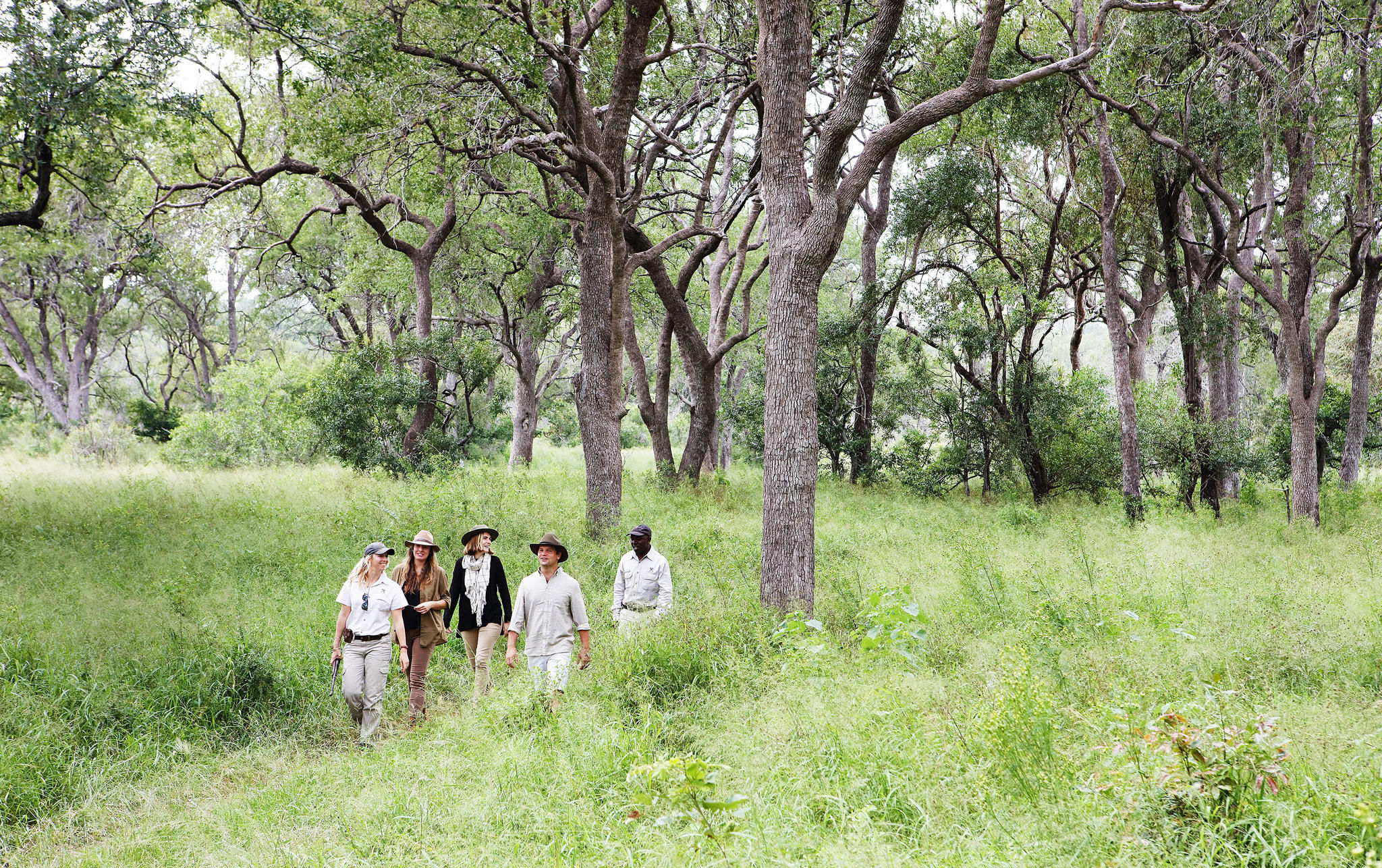 On safari at Londolozi