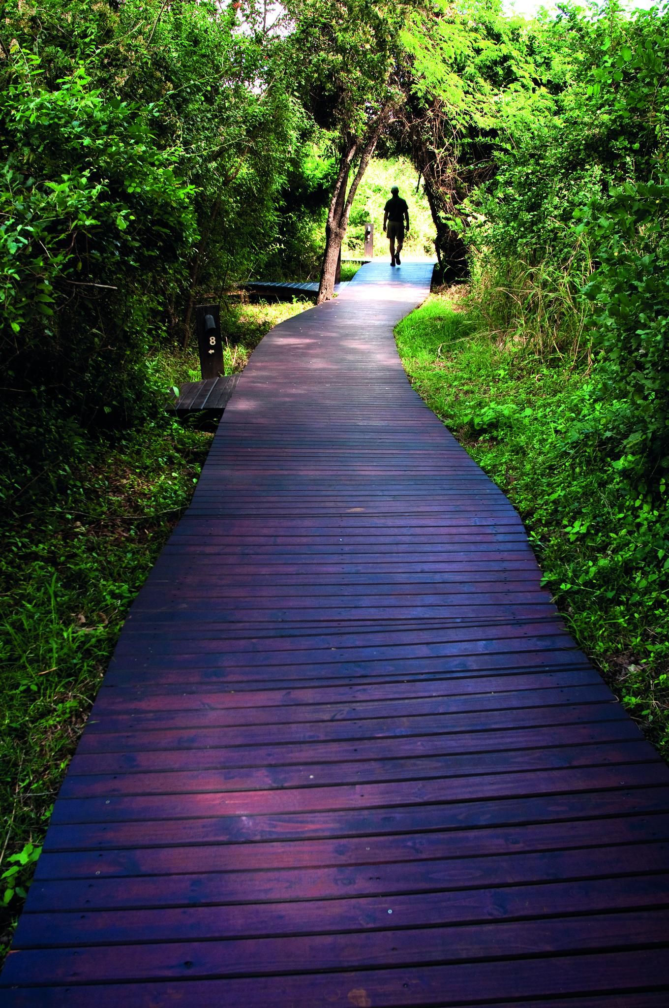 Lion Sands Private Game Reserve