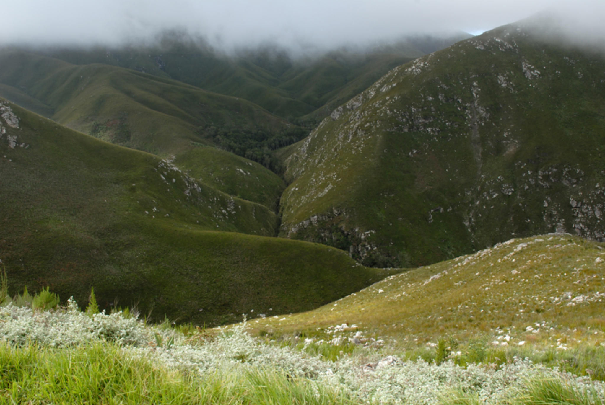 Outeniqua Mountains