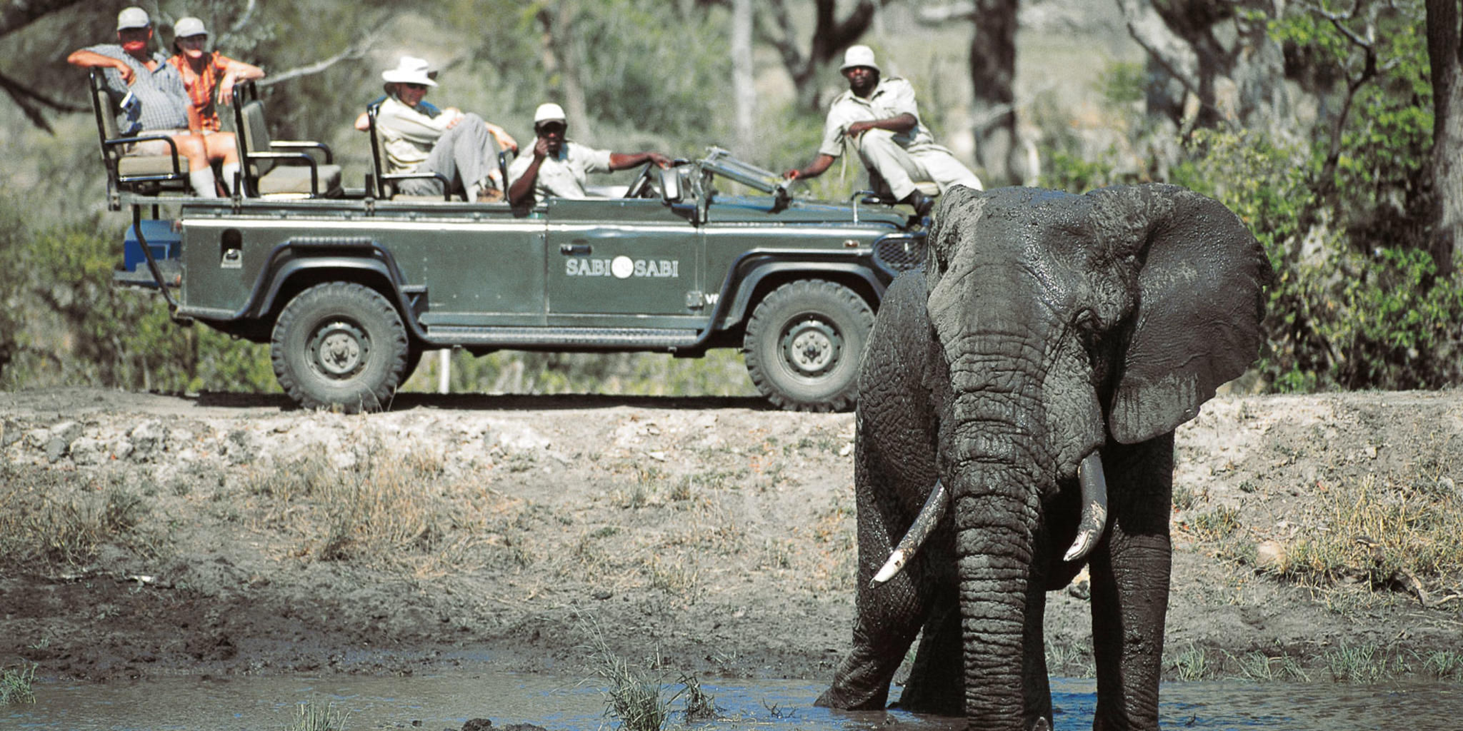 Sabi Sabi Game Drives