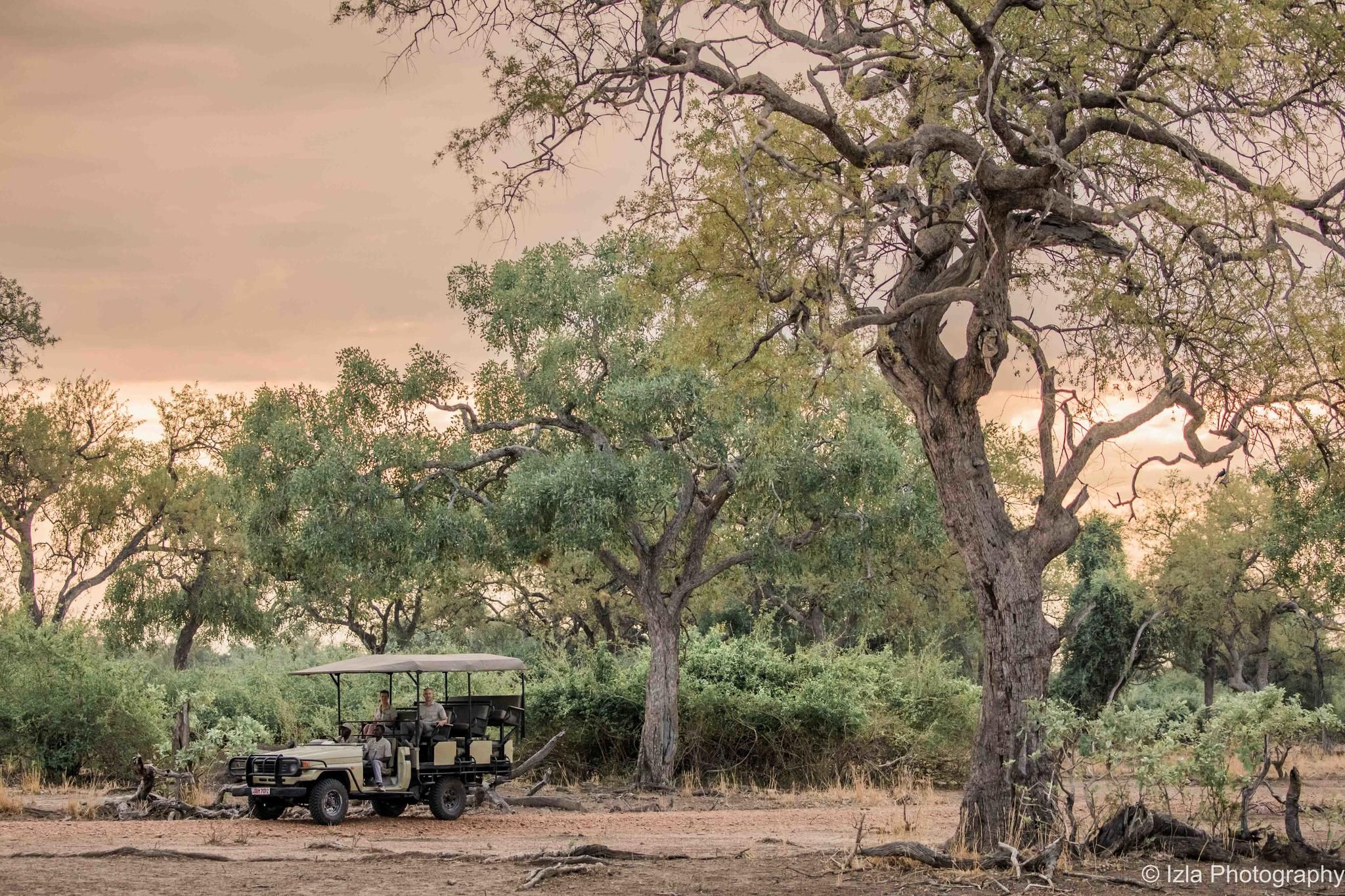 Kafunta Safaris Game Drive