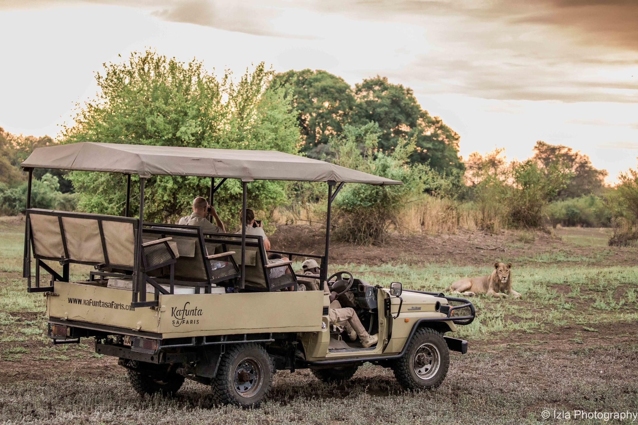 Kafunta Safaris Game Drive