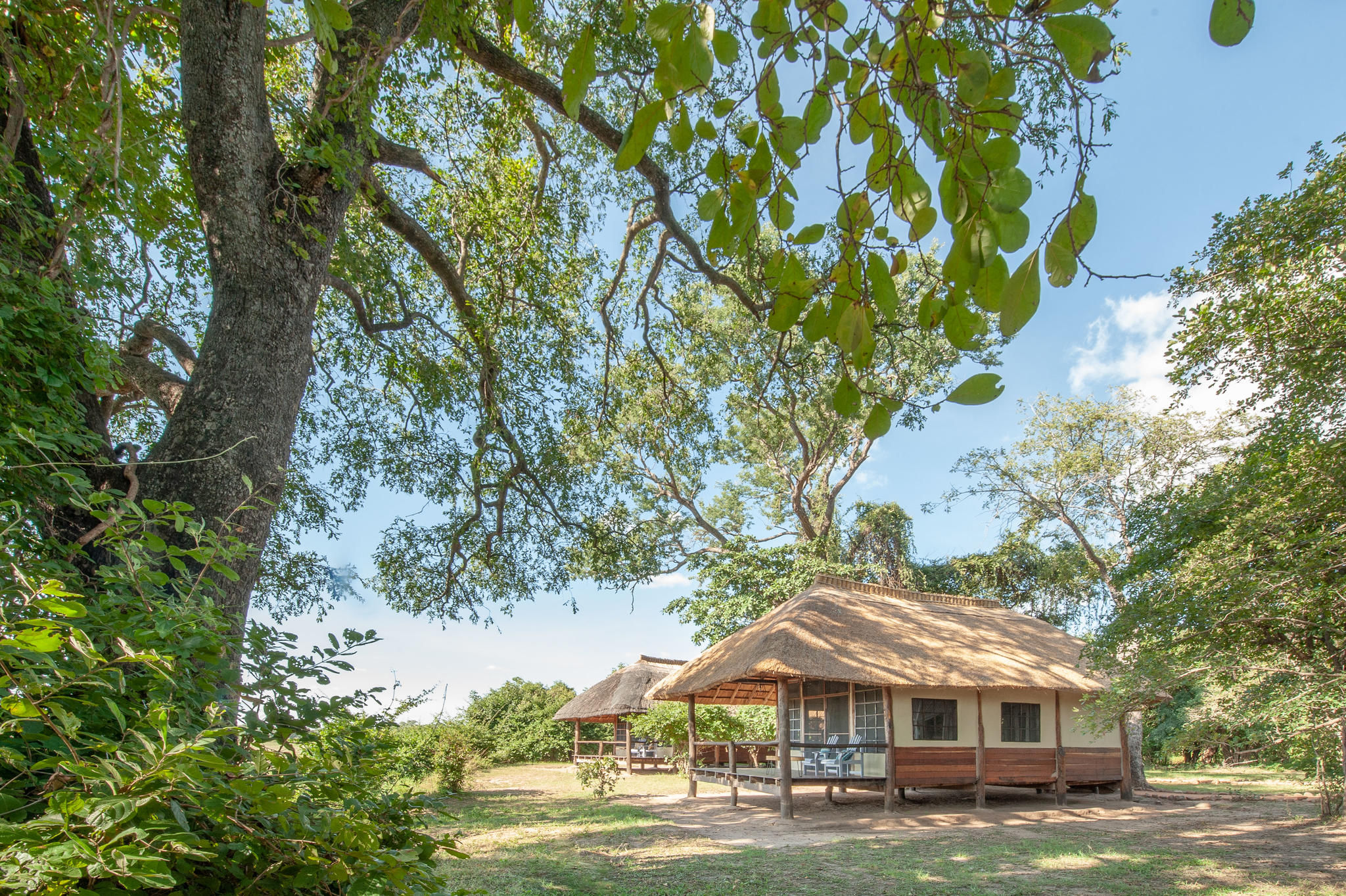 Kafunta River Lodge - Standard chalet