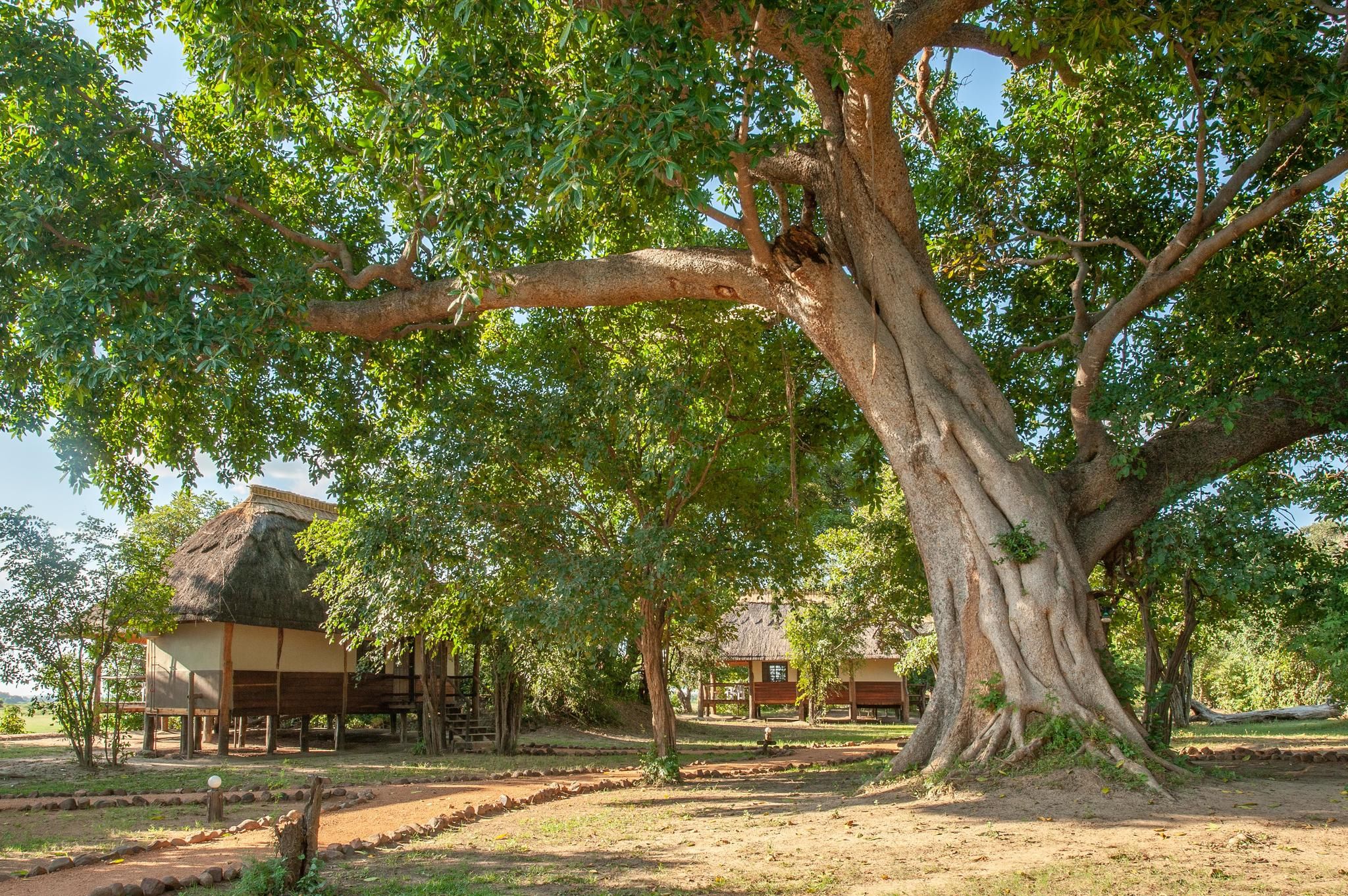 Kafunta River Lodge - Standard chalet