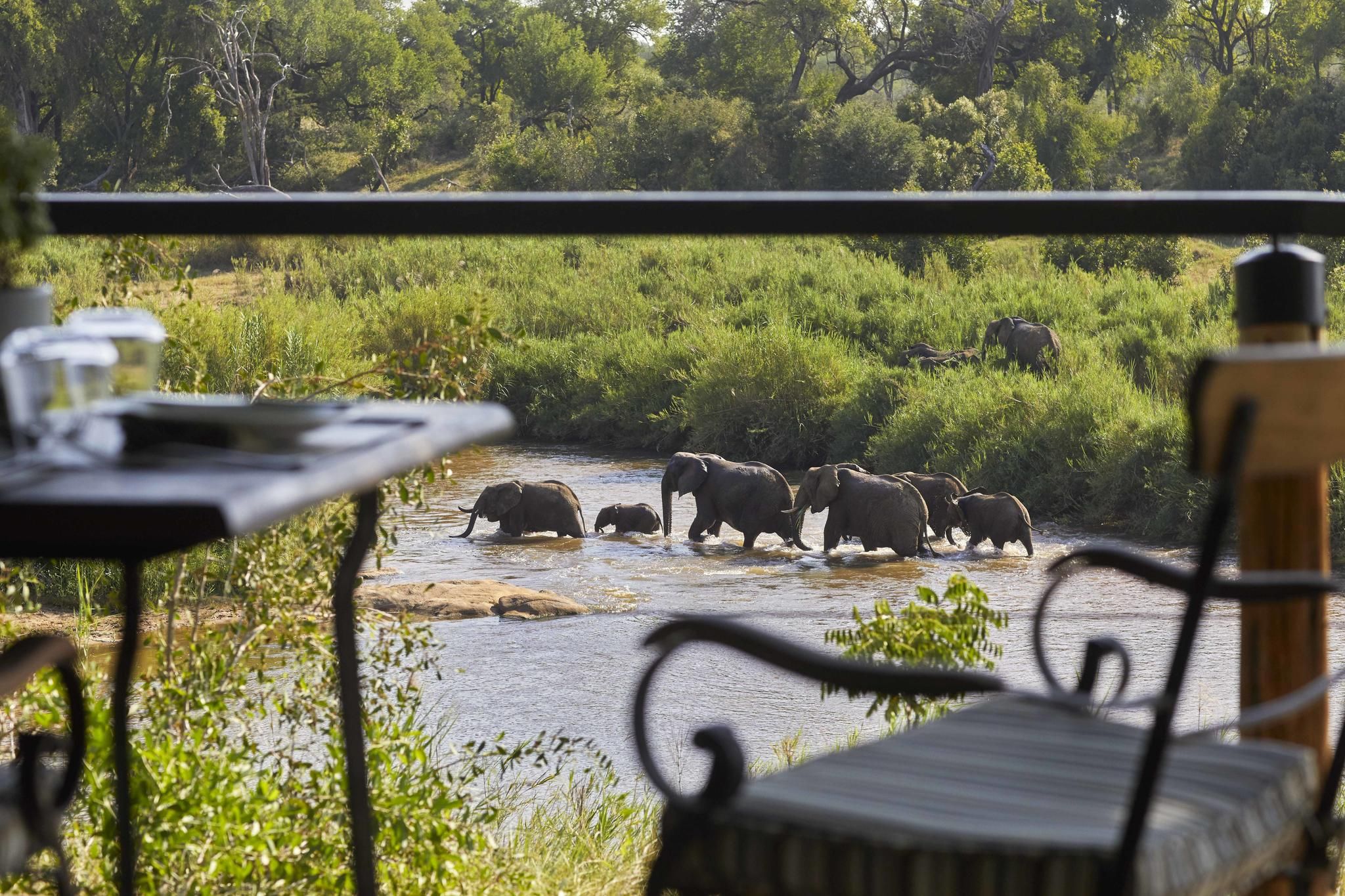Lion Sands Tinga - Wildlife Views