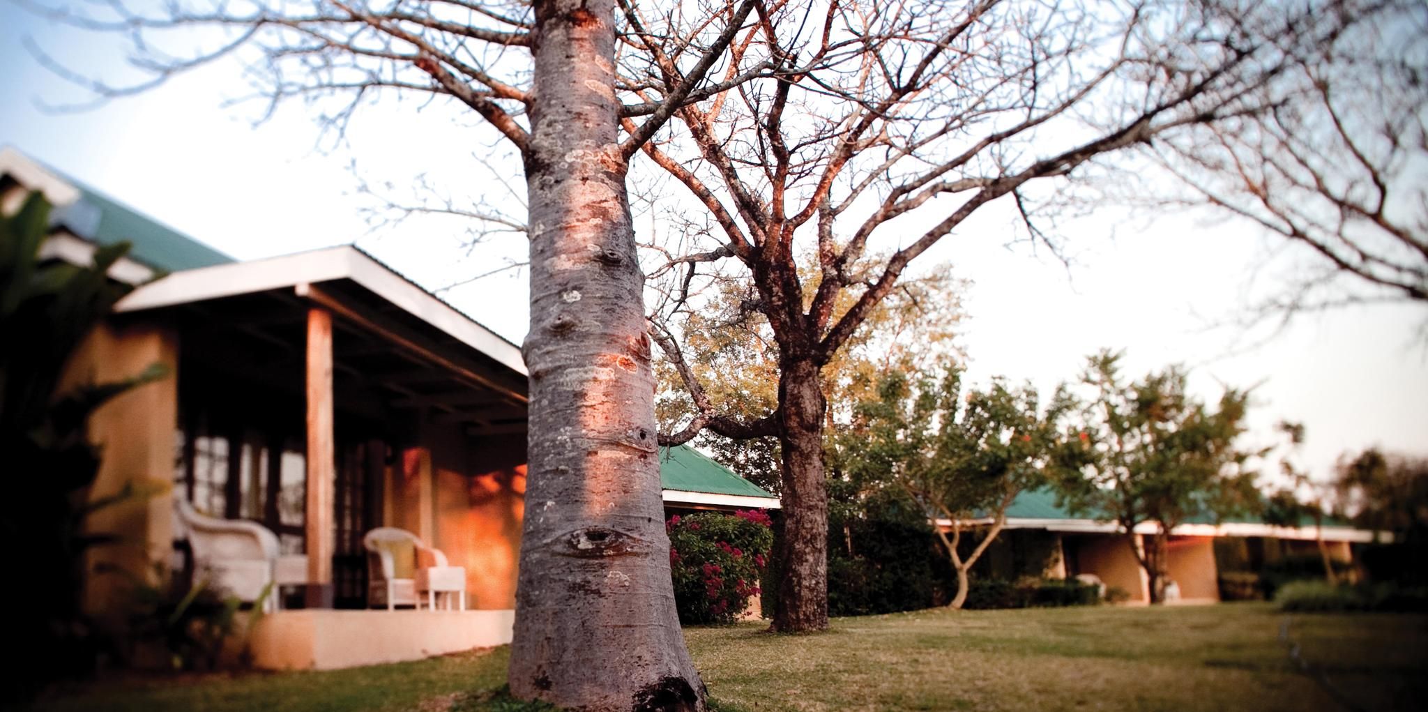 Perry's Bridge Hollow Garden