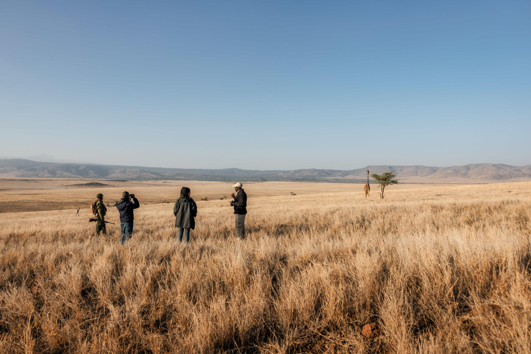 Elewana Lewa Safari Camp