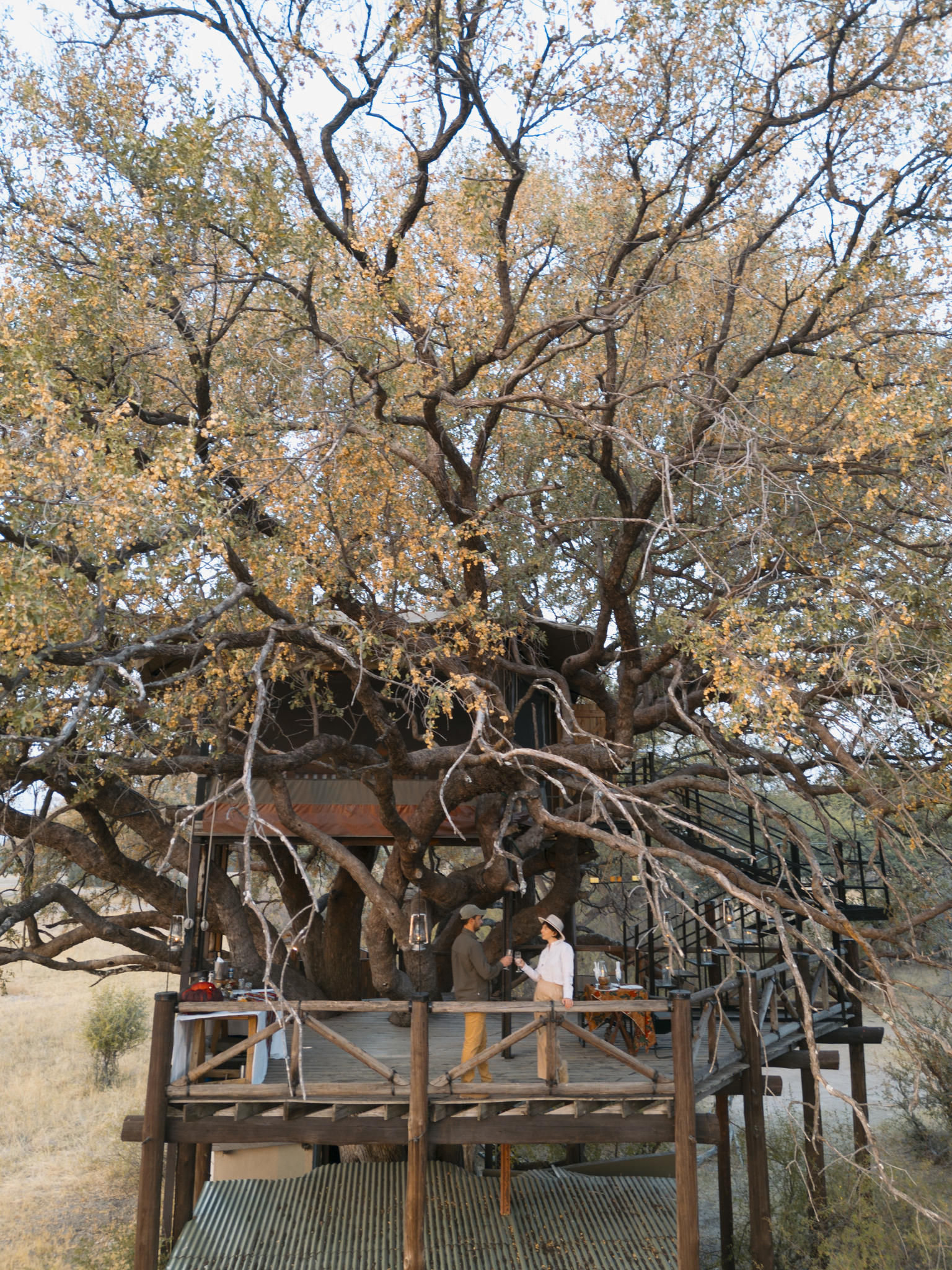 THE DOVE'S NEST